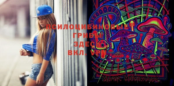 первитин Бородино