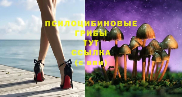 мяу мяу мука Верея